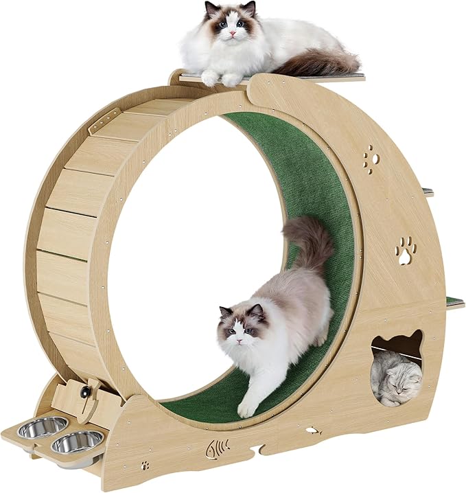 4-in-1 Cat Wheels for Indoor Cats, 40 Inch Large Cat Exercise Wheel, Running Treadmill Wheel with Carpeted Runway, Scratcher