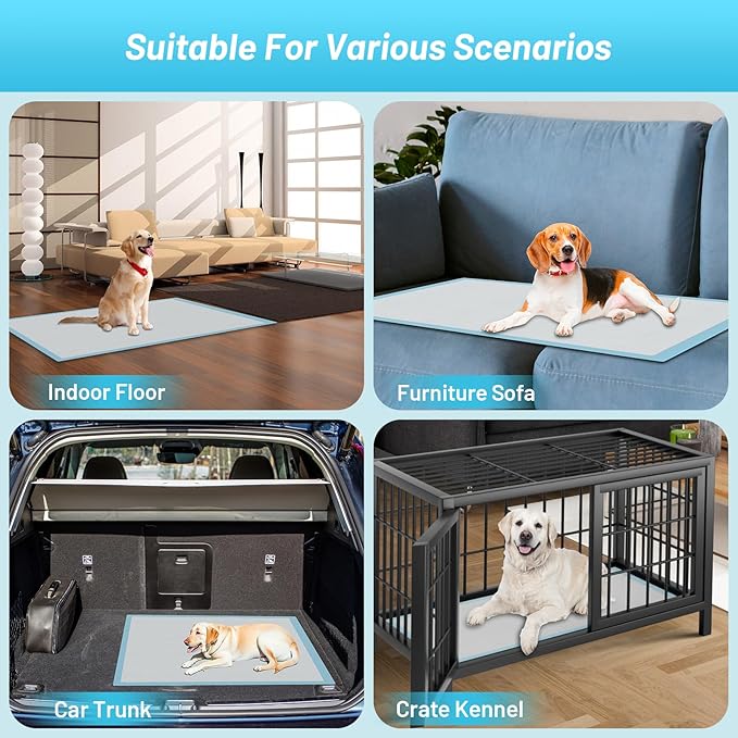 Puppy Pads Extra Large for Dogs 31"x47" 40 Count, Leak-Proof & Super Absorbent Dog Pee Pads, Thicken Disposable Potty Pads Puppy Training Pads for Cats Rabbits (40PCS)