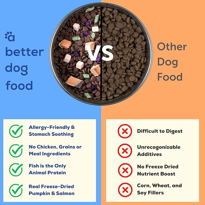 A Better Treat | Allergy Friendly Ocean Blend Dry Dog Food | Raw You Can See | No Chicken, No Grain, No Meal Ingredients | Fish Only Animal Protein |Stomach Soothing Kibble + Freeze Dried Raw Dog Food