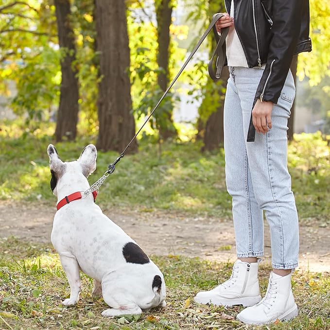 Dogline Biothane Waterproof Dog Leash Strong Coated Nylon Webbing with Black Hardware Odor-Proof Easy to Clean High Performance for Small or Large Dogs Made in USA 4 or 6 ft Lead, Dark Chocolate Brown