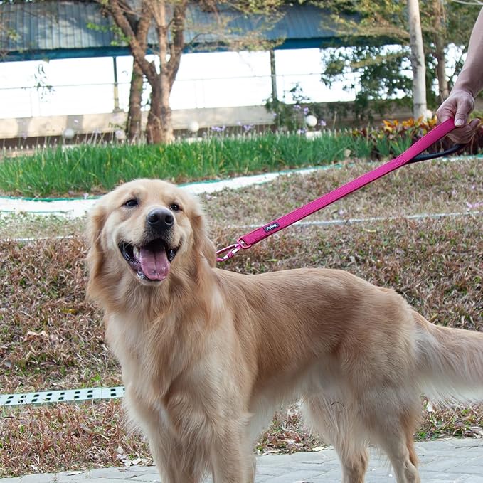 Hyhug Pets 24” Nylon Sturdy Short Leash with Neoprene Soft Handle and Lightweight Aviation Aluminium Clip Lead- for Large Medium Dogs Daily Walking and Training. (24 Inches, Rose Red)