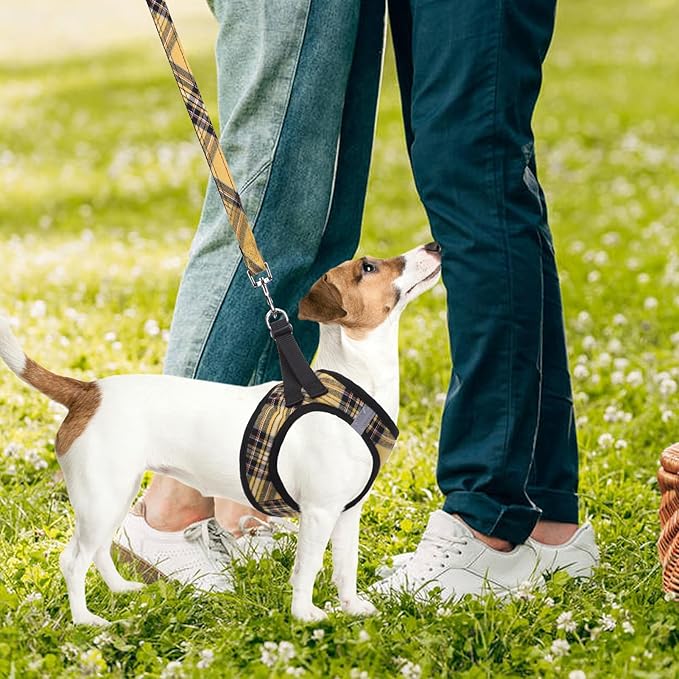 PUPTECK Adjustable Dog Harness Collar and Leash Set Step in No Pull Pet Harness for Small Medium Dogs Puppy and Cats Outdoor Walking Running, Soft Mesh Padded Reflective Vest Harnesses, Yellow, XXS