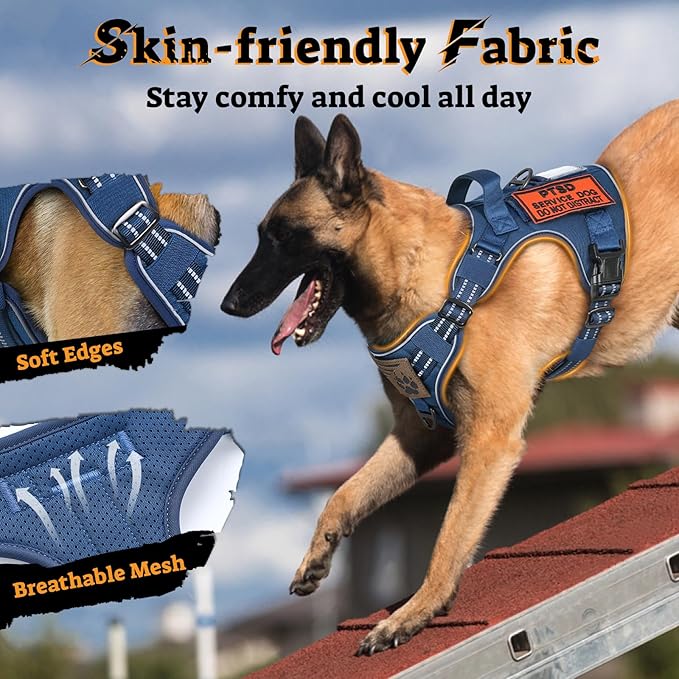 rabbitgoo Dog Harness for Large Dogs No Pull, Tactical Service Pet Vest with Molle and Control Handle, Adjustable and Reflective Military Harness for Easy Walking and Training, Blue, XL