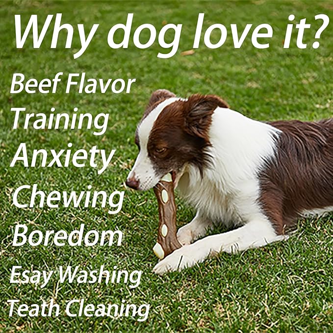 Dog Bones Chew Toys for Aggressive Chewers, 6 Pack Real Beef Flavor,Indestructible Dog Teething Chew Toys for Large/Medium/Small Puppies Breed,Tough Pet Toy with Durable Nylon