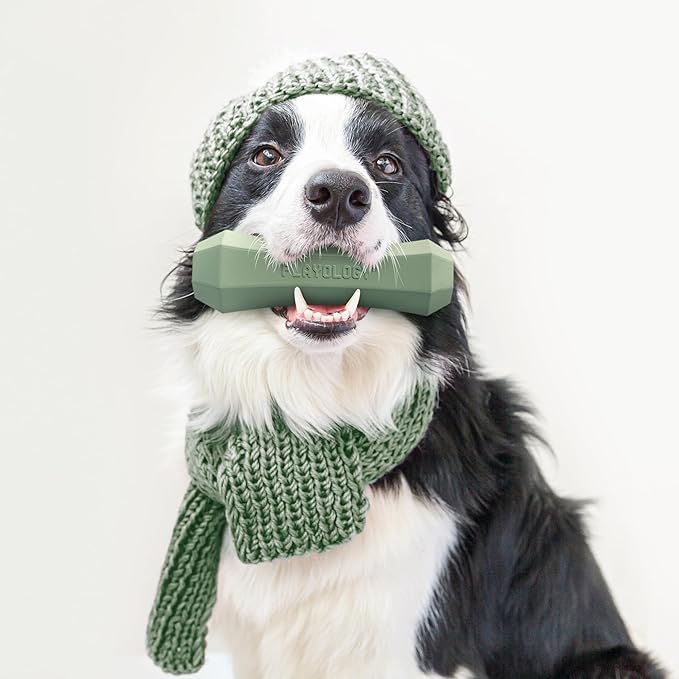 Playology Dog Toys | Durable Squeaky Chew Stick for Dogs | Medium Butternut Squash & Sage Scented Toy - Limited Edition Fall Collection | Easy to Clean and Made from Non Toxic Materials