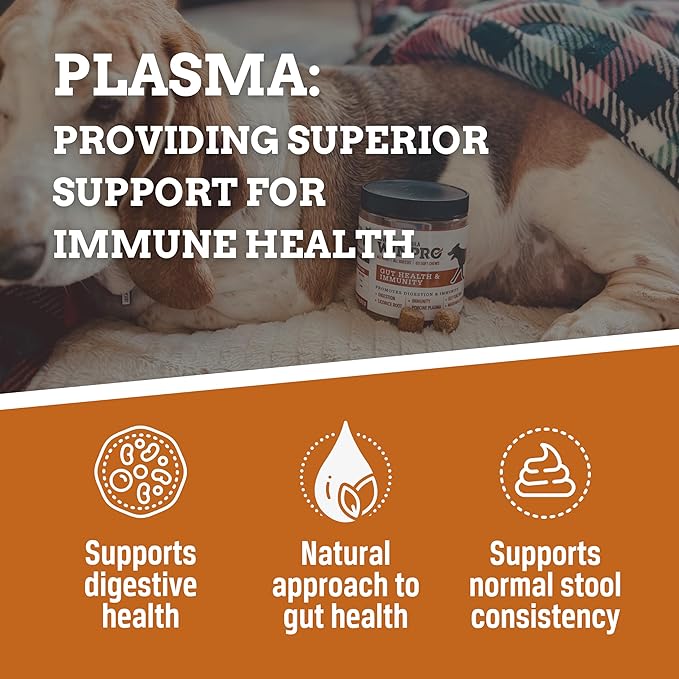 WINPRO Dog Gut Health Supplement – Plasma-Powered Soft Chews for Dog Immune Health Support & Gut Health, Made with Natural Ingredients for Dogs of All Breeds & Sizes - 60 Count