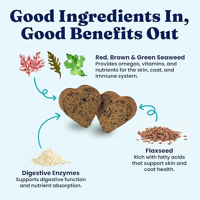 Solid Gold Cat & Dog Multivitamin Chews - Kelp, Omega 3 & Vitamins for Dental, Digestive, Immune, Skin & Coat Health - Multi Vitamin for Dogs & Cats - Sea Kelp Based Soft Chew for All Ages - 120ct