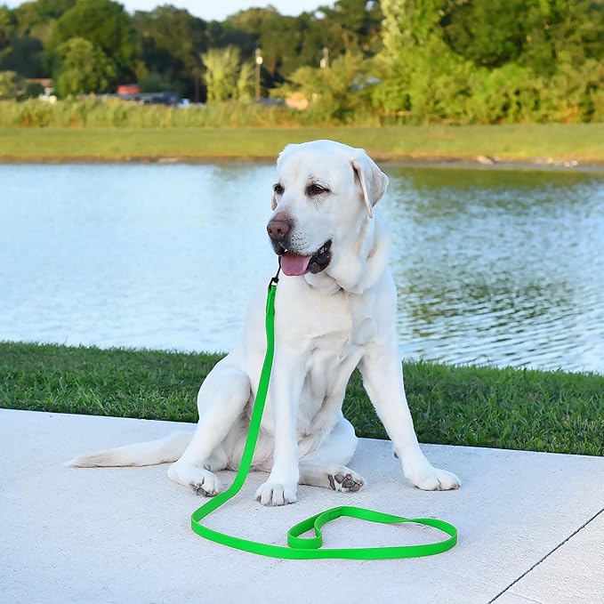 Dogline Biothane Waterproof Dog Leash Strong Coated Nylon Webbing with Black Hardware Odor-Proof Easy to Clean High Performance for Small or Large Dogs Made in USA 4 or 6 ft Lead, Tropical Green