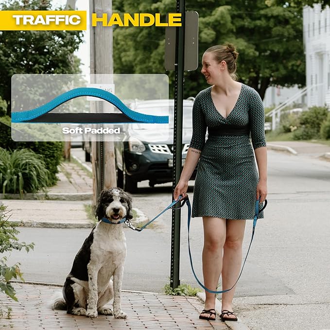 Fida 10ft Heavy Duty Dog Leash with 2 Comfortable Padded Handles, Traffic Handle & Advanced Easy Snap Hook, Reflective Walking Lead for Large, Medium & Small Breed Dogs,Blue