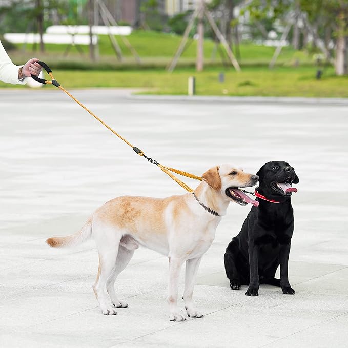 iYoShop Dual Dog Leash - 360° Swivel, No Tangle Walking Leash with Shock Absorbing Bungee for Two Dogs (Large, 25-150 lbs, Orange)