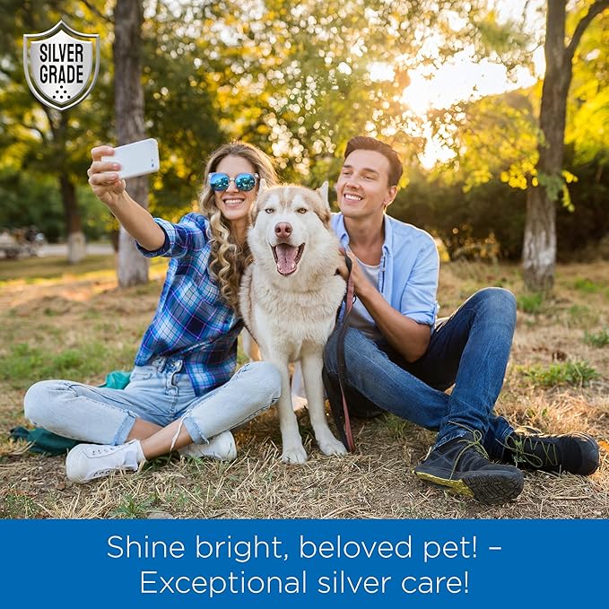 SILVER GRADE Wound Spray for Pets – Colloidal Silver Wound Care for Dogs & Cats – Helps with Skin Irritation, Hot Spots, Rashes, Scratching, Itch, Bites & Burns – Use a Dog Cone – 4 oz