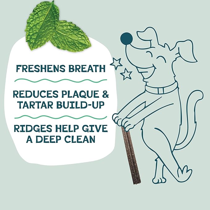 Shameless Pets Carrot & Mint Dental Chews for Dogs, 32 Chews - Natural Dog Teeth Cleaning Treats with Fresh Breath Benefits | Grain-Free Dental Sticks for Small, Medium & Large Dogs