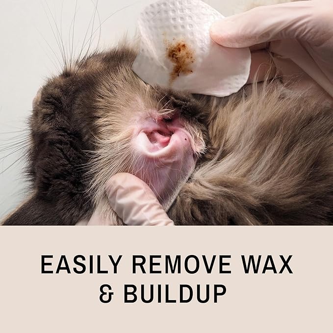 Eye Envy Fresh Ear Cleaning Wipes for Cats. Made in The USA from Natural Ingredients. Unscented. Prevents Infections. Safe and Non-Irritating. Removes Dirt, Debris, and Wax buildup. 60 Count.