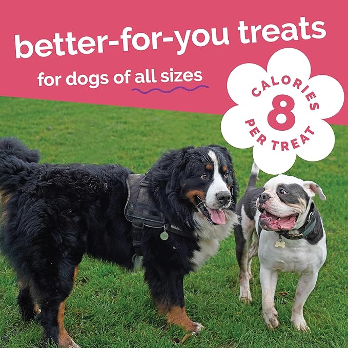 Fruitables Baked Dog Treats, Healthy Pumpkin Treat for Dogs, Low Calorie & Delicious, Free of Wheat, Corn and Soy, Made in The USA, Pumpkin and Apple Flavor, 20oz