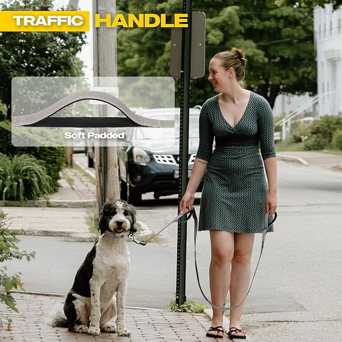 Fida 10ft Heavy Duty Dog Leash with 2 Comfortable Padded Handles, Traffic Handle & Advanced Easy Snap Hook, Reflective Walking Lead for Large, Medium & Small Breed Dogs, Grey