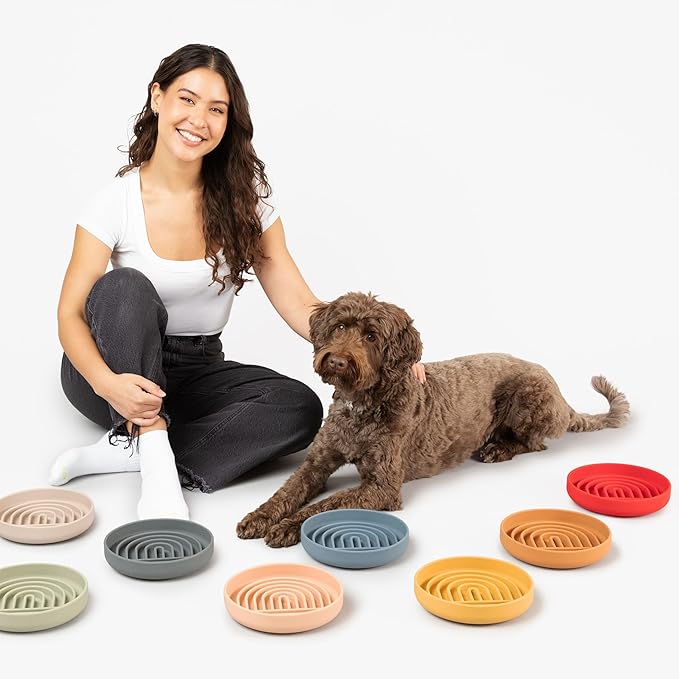 Should We Go? Slow Feeder for Dogs & Puppies, The Slowdown Bowl Silicone Slow Eating, Modern Lick Mat Design, Reduces Gulping, Fits 2 Cups, 7.5” Across x 1.5” Tall, Mealtime Challenge, Medium-Cherry