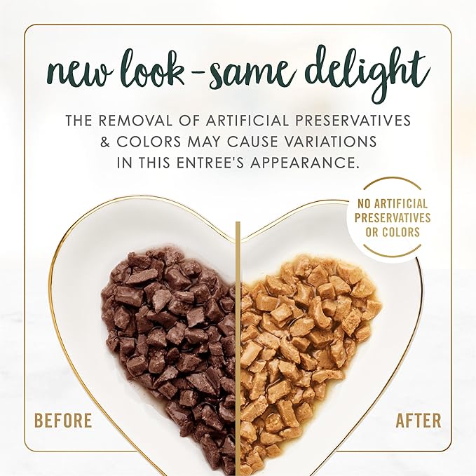 Purina Fancy Feast Senior Wet Cat Food 7 Years Plus Chicken Feast in Gravy Minced - (Pack of 24) 3 oz. Cans