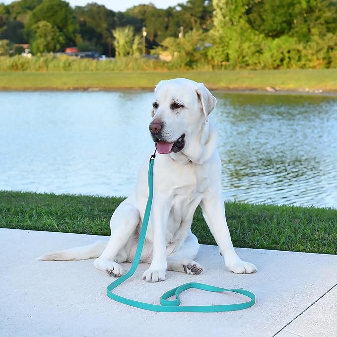 Dogline Biothane Waterproof Dog Leash Strong Coated Nylon Webbing with Black Hardware Odor-Proof Easy to Clean High Performance for Small or Large Dogs Made in USA 4 or 6 ft Lead, Sky Blue