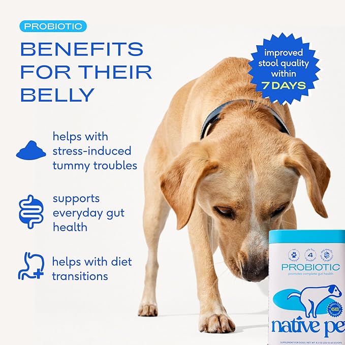 Native Pet Probiotics for Dogs - Dog Probiotics Powder for Digestive Health, Gut Support, & Immune Boost – Vet-Formulated Powder for Maximum Potency with Digestive Enzymes & Prebiotics - 240 Scoops