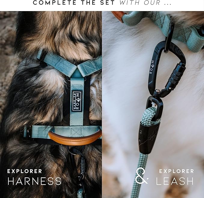 Made to ROAM Premium Dog Collar - Adjustable Heavy Duty Nylon Collar with Quick-Release Metal Buckle (Virginia Mountains, Classic Size 4)