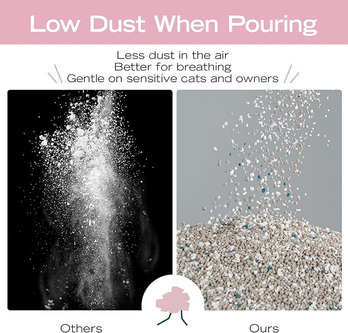 Bentonite Mix Cat Litter, Strong Clumping Litter, Odor Control, Easy Scooping, Clumps Lift Cleanly, Low Dust, Corn & Cassava Litter, 5.5 LB x 3 Bags