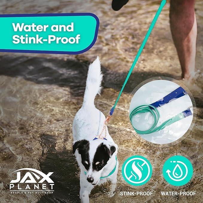 Jelly Colorful Dog Leash, Waterproof Training Leash for Walking, Hiking & Outdoor Activities, Non-Slip Grip, Anti-Odor Nylon Lead with Alloy O-Ring, Heavy Duty - M150, 5FT - Turquoise & Blue, M