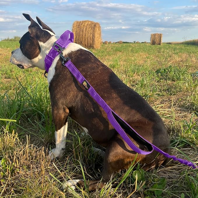 ADITYNA Tactical Bungee Dog Leash 6ft-7.5ft - Shock Absorbing Lead with 2 Padded Handles, Metal Clasp, Car Seatbelt - Heavy Duty No Pull for Medium, Large & XL Breeds