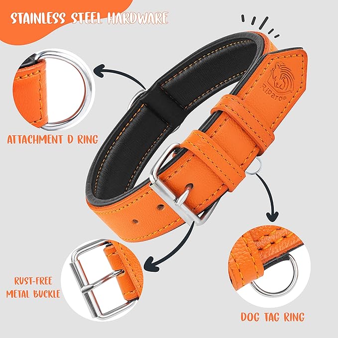 Riparo Orange Leather Dog Collar - Padded Heavy Duty Wide Dog Collar for Small, Medium, Large and Extra Large Dogs with Dog Tag Holder, Large Dog Collars (L: 1.5" Wide for 17"-21" Neck, Orange)