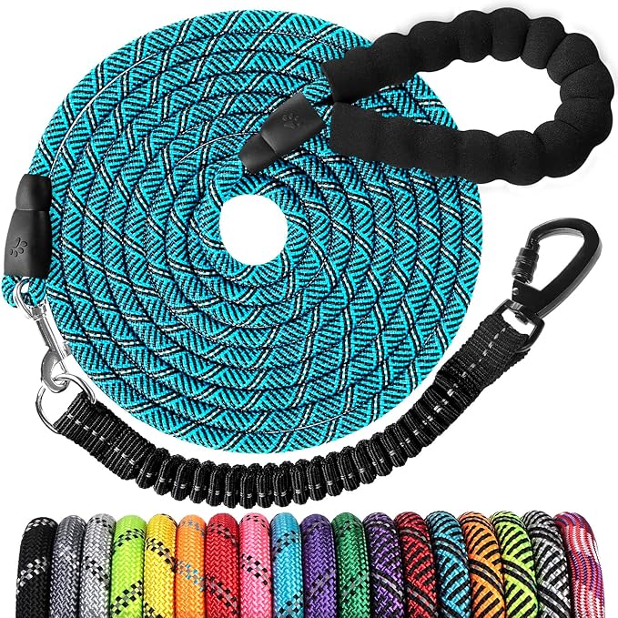 Long Dog Leash 30 FT: Heavy Duty Rope Leashes for Dogs Training with Swivel Lockable Hook Reflective Threads Bungee and Padded Handle - Dog Lead for Large Small Medium Dogs Outside Walking Hiking Blue