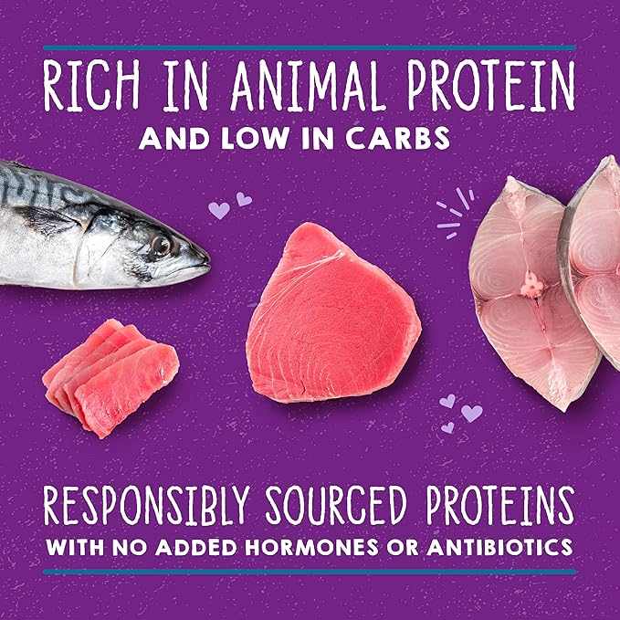 Stella & Chewy's Carnivore Cravings Savory Shreds - Wet Cat Food - High-Moisture Formula with Wild-Caught Tuna & Mackerel - Perfect for Picky Eaters - 2.8 oz, 12 Count