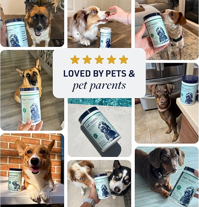 Veterinary Formula Gut Health Supplement for Dogs – Vet-Formulated Probiotic Chews with Digestive Enzymes & Fiber – Smart Vitality Supports Digestive Health, Gut Balance & Stool Quality, 60 Soft Chews