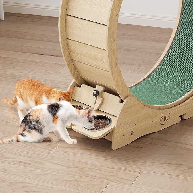 4-in-1 Cat Wheels for Indoor Cats, 40 Inch Large Cat Exercise Wheel, Running Treadmill Wheel with Carpeted Runway, Scratcher
