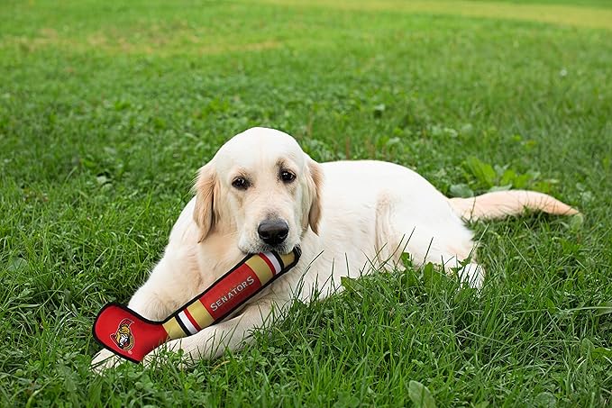 Pets First NHL Ottawa Senators Stick Toy for Dogs & Cats. Play Hockey with Your Pet with This Licensed Dog Tough Toy Reward!, 16 inches Long