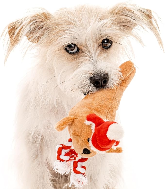 Dog Toys | Holiday Plush Toy Walrus Stuffed Animal for Dogs | Small Eco Friendly Toy - Easy to Clean and Made from Non Toxic Materials