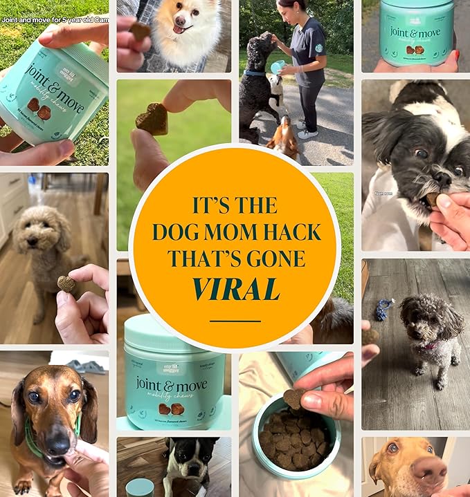 My Lil’ Nugget – Vet-Approved Hip and Joint Support for Dogs | All-Natural Dog Arthritis & Joint Pain Relief | Glucosamine, Chondroitin & Hemp | All-Ages – Senior Dog to Puppy | 90 Bacon Flavor Chews
