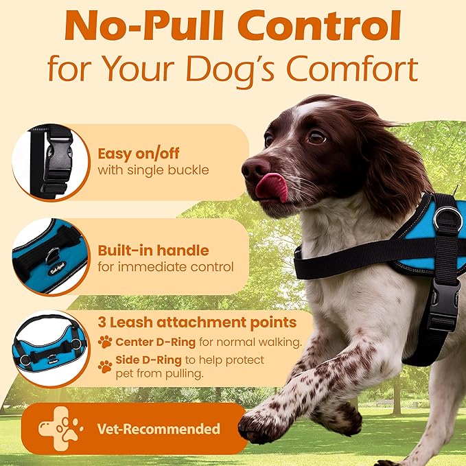 Bark Appeal Aqua Blue No-Pull Dog Harness for Extra Large Sized Pets – Adjustable, Reflective Vest with 3 Leash Clips for Added Control, Easy Walks & Training – XXL