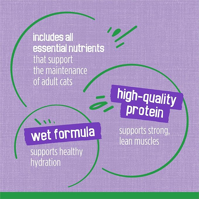 Purina Friskies Indoor Cat Food Meaty Bits Homestyle Turkey Dinner With Garden Greens in Gravy - (Pack of 24) 5.5 oz. Cans