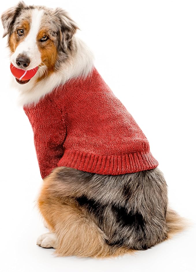 Playology Dog Toys | Squeaky Chew Ball - Bouncy Durable Floating Fetch Ball for Dogs | Jumbo Grandma's Gravy Scented Toy - Easy to Clean and Made from Non Toxic Materials