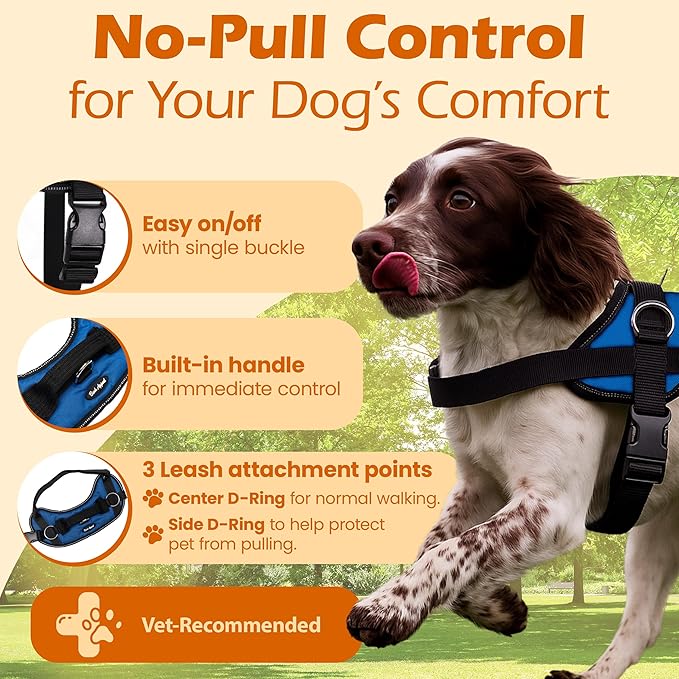 Bark Appeal Blue No-Pull Dog Harness for Small to Medium Sized Pets – Adjustable, Reflective Vest with 3 Leash Clips for Added Control, Easy Walks & Training – Medium