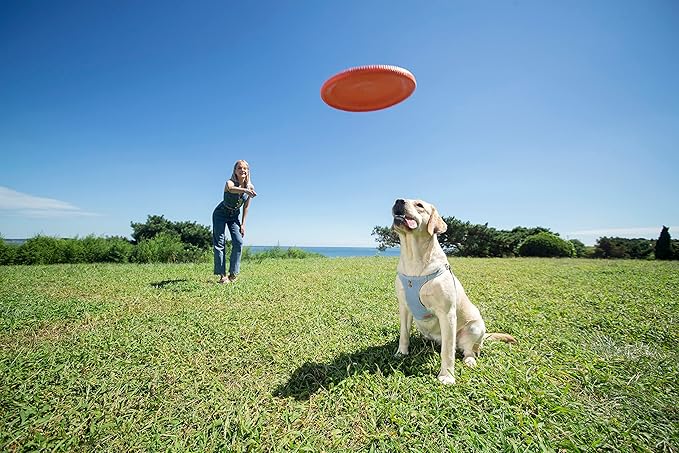 Dog Harness, No Pull Dogs Harness and Multi-Function Leash Set for Medium Dogs Easy Walk Everyday Adjustable Soft Dog Vest Harness Fashionable Dog Accessories Glacier Blue Button-M(16lb-35lb)