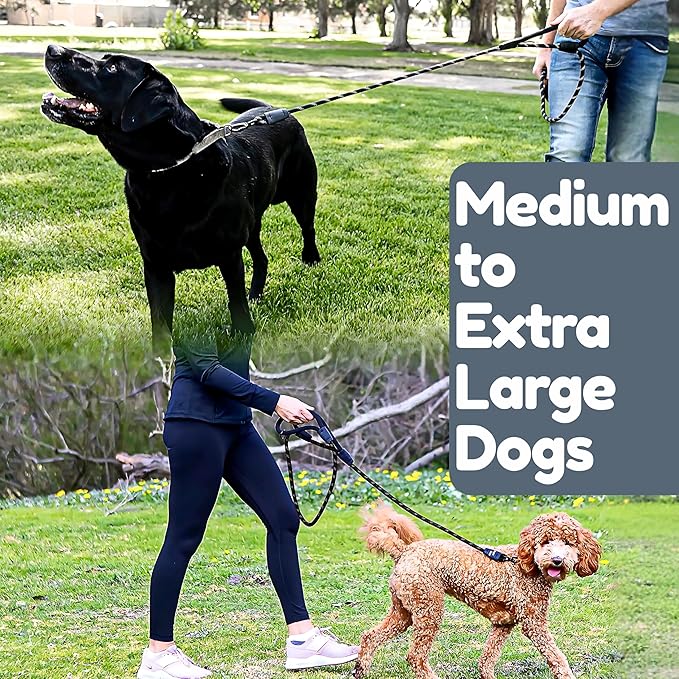 6 Foot Dog Leash, Two Extra Padded Handles, Locking Carabiner Clip, Reflective for Night Visibility, Weatherproof, Heavy Duty Rope Leash, Roam Gear (Black)