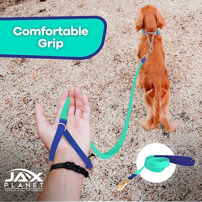 Jelly Colorful Dog Leash, Waterproof Training Leash for Walking, Hiking & Outdoor Activities, Non-Slip Grip, Anti-Odor Nylon Lead with Alloy O-Ring, Heavy Duty - M150, 5FT - Turquoise & Blue, M
