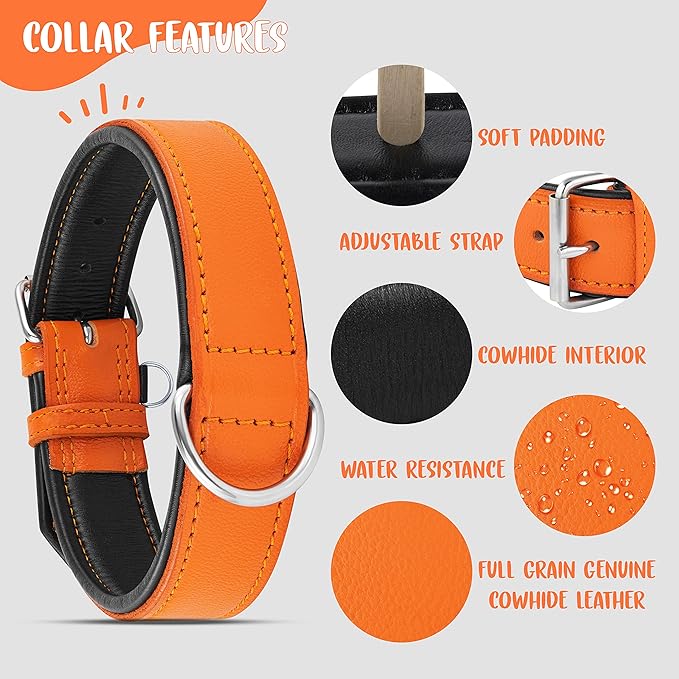 Riparo Orange Leather Dog Collar - Padded Heavy Duty Wide Dog Collar for Small, Medium, Large and Extra Large Dogs with Dog Tag Holder, Large Dog Collars (L: 1.5" Wide for 17"-21" Neck, Orange)
