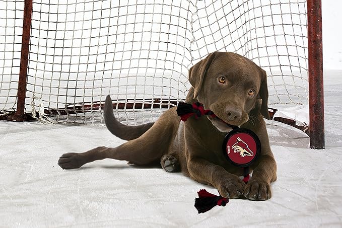 Pets First NHL Arizona Coyotes Puck Toy for Dogs & Cats. Play Hockey with Your Pet with This Licensed Dog Tough Toy Reward!