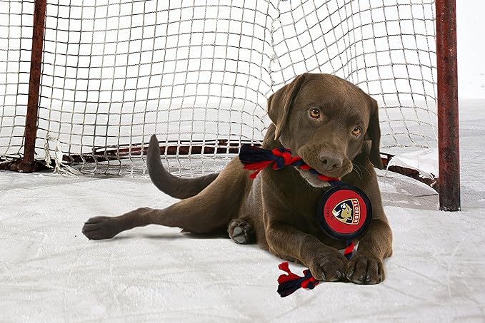 Pets First NHL Florida Panthers Puck Toy for Dogs & Cats. Play Hockey with Your Pet with This Licensed Dog Tough Toy Reward!