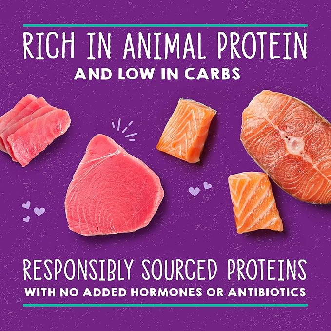 Stella & Chewy's Carnivore Cravings Savory Shreds - Wet Cat Food - High-Moisture Formula with Premium Real Meat - Perfect for Picky Eaters - Tuna & Salmon Recipe, 5.2 oz, 8 Count
