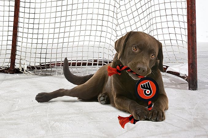 Pets First NHL Philadelphia Flyers Puck Toy for Dogs & Cats. Play Hockey with Your Pet with This Licensed Dog Tough Toy Reward!