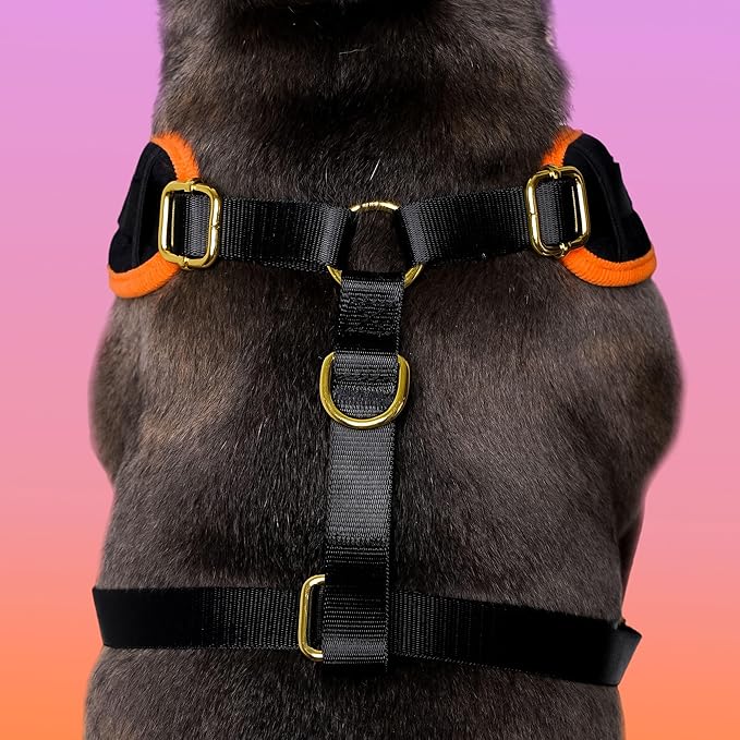 Halloween Velvet Dog Harness, No-Pull Design, Adjustable, XXS-Large, Black, Embroidered, Velvet & Corduroy, Machine-Washable (Black, L)