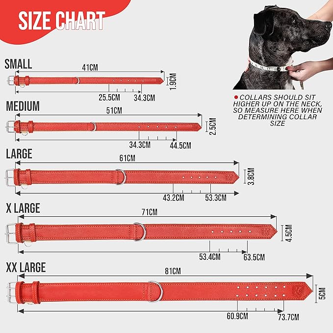 Riparo Red Leather Dog Collar - Heavy Duty Wide Dog Collar for Small, Medium, Large and Extra Large Dogs with Dog Tag Holder (XXL: 2” Wide for 26”-29” Neck, Red)