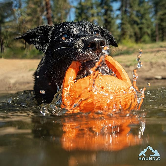 Playology Hound2O Dog Toys | Squeaky Tug Ball Toy for Tug of War | Orange Floating Outdoor Toy - Easy to Clean and Made from Non Toxic Materials